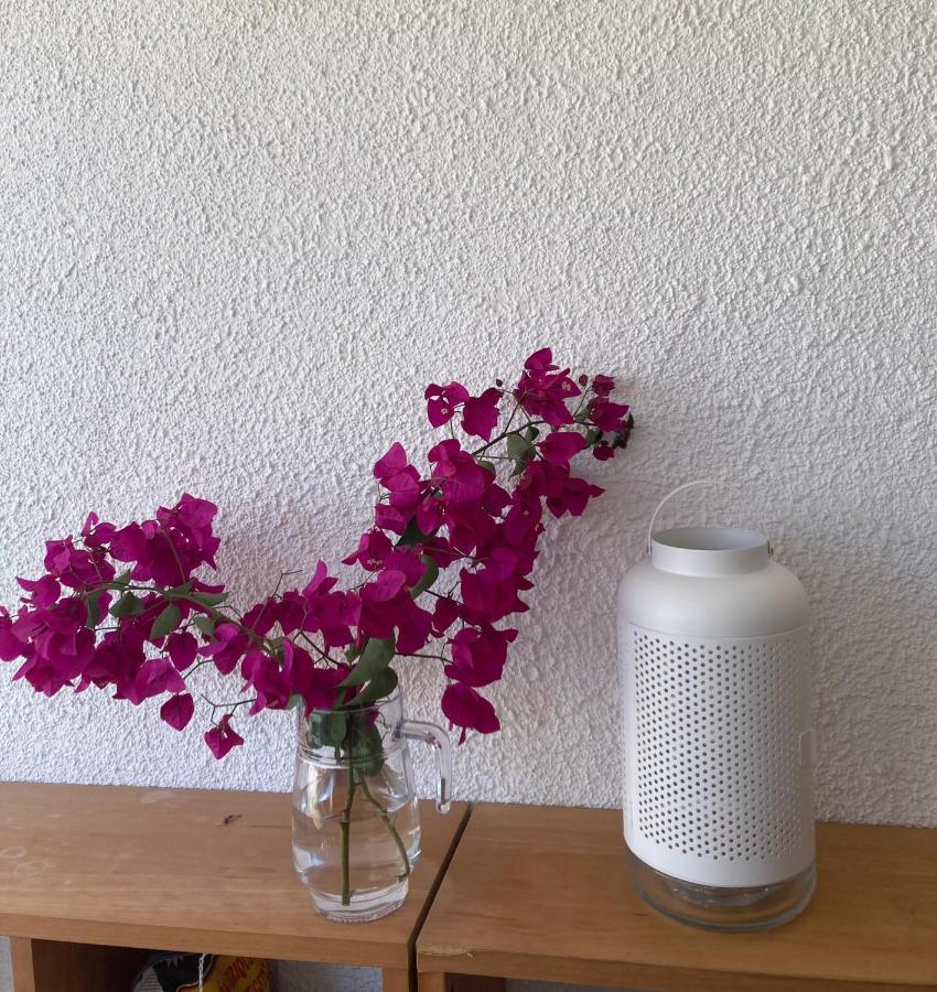 Casa Elisa 3 Bedrooms 2 Bathrooms 4 Airco'S Shared Pool Alcossebre Exterior foto